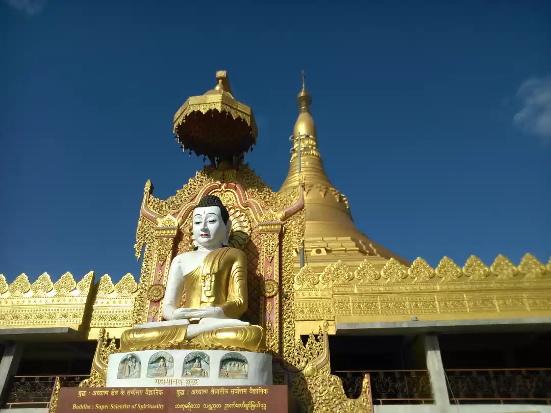 Photo of GOLDEN BEAUTY OF GOR