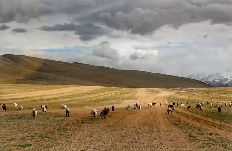 Photo of A journey within..