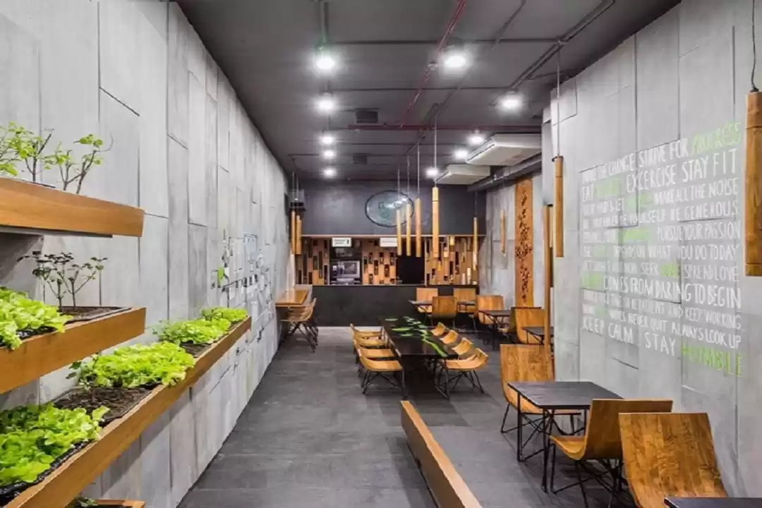 Photo of 5 Must Visit Organic