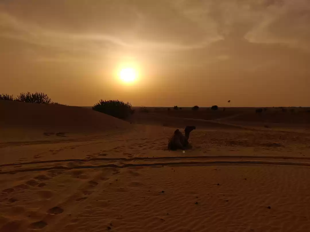 Photo of Maro Tharo Rajasthan