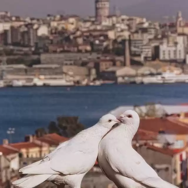 Photo of 16 Amazing Images To