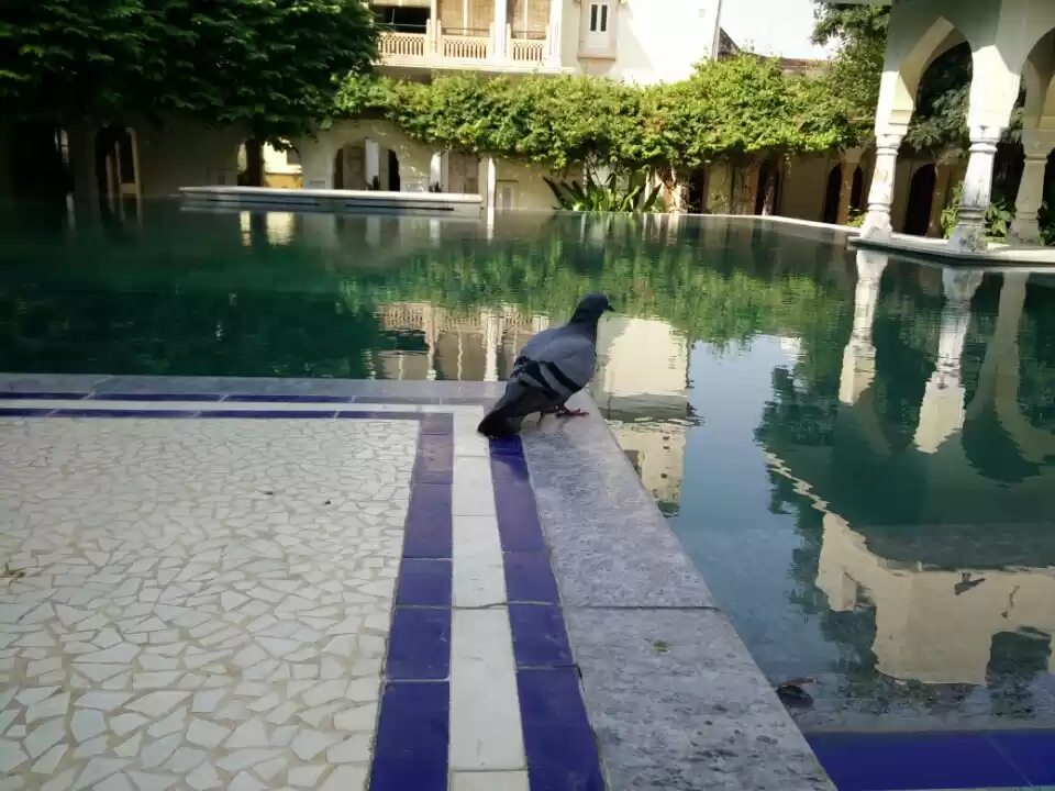 Photo of Naila Bagh Palace: R