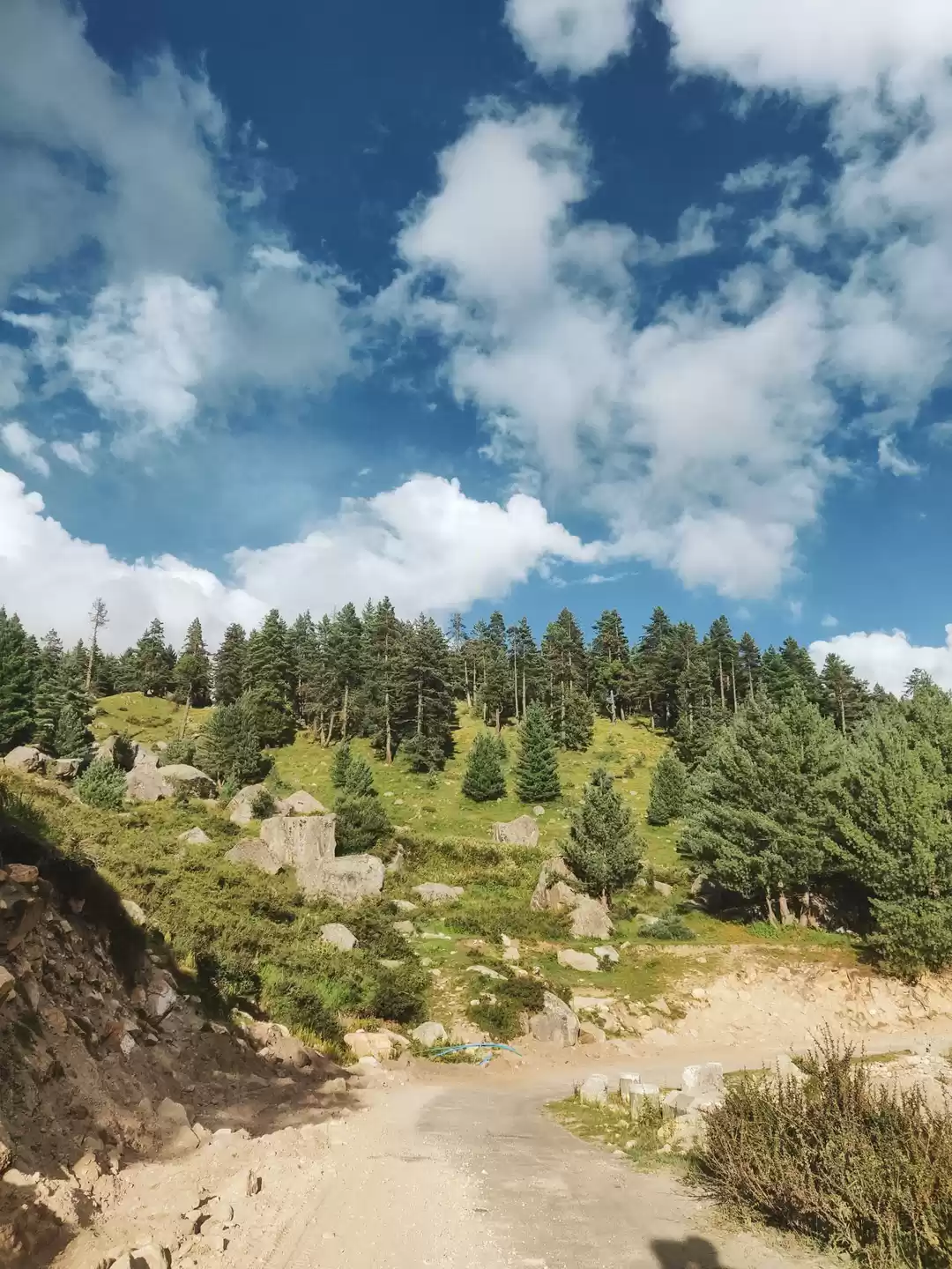 Photo of Meet The Descendants