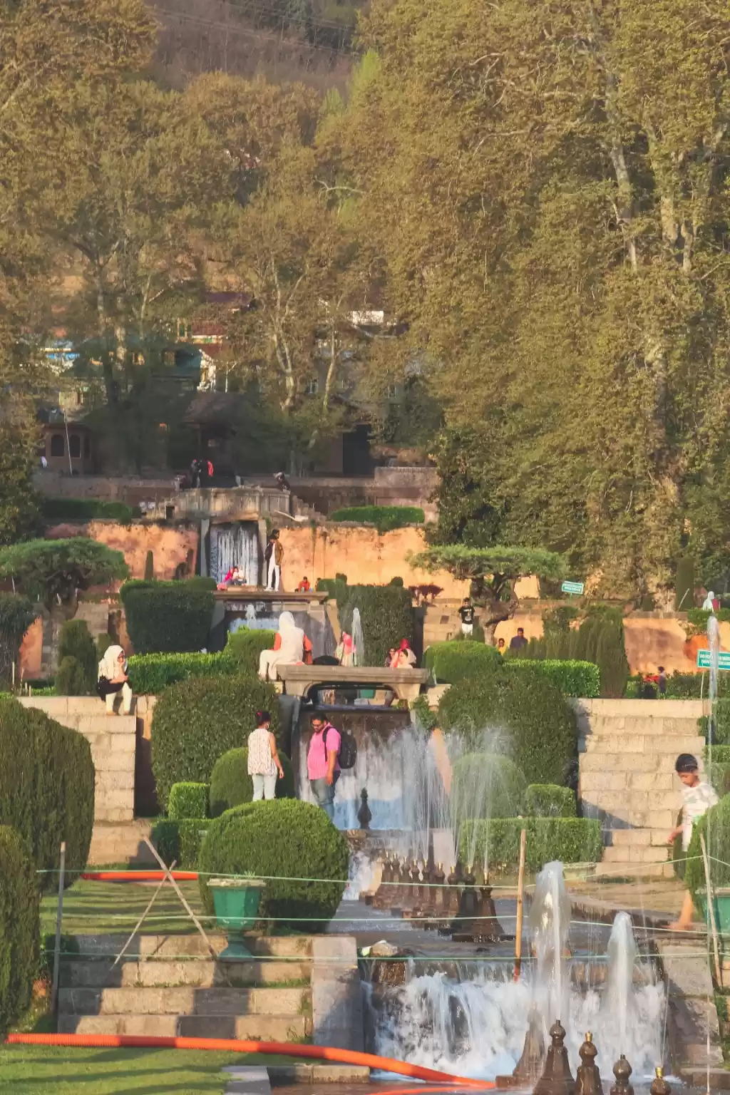 Photo of Garden of Delight .