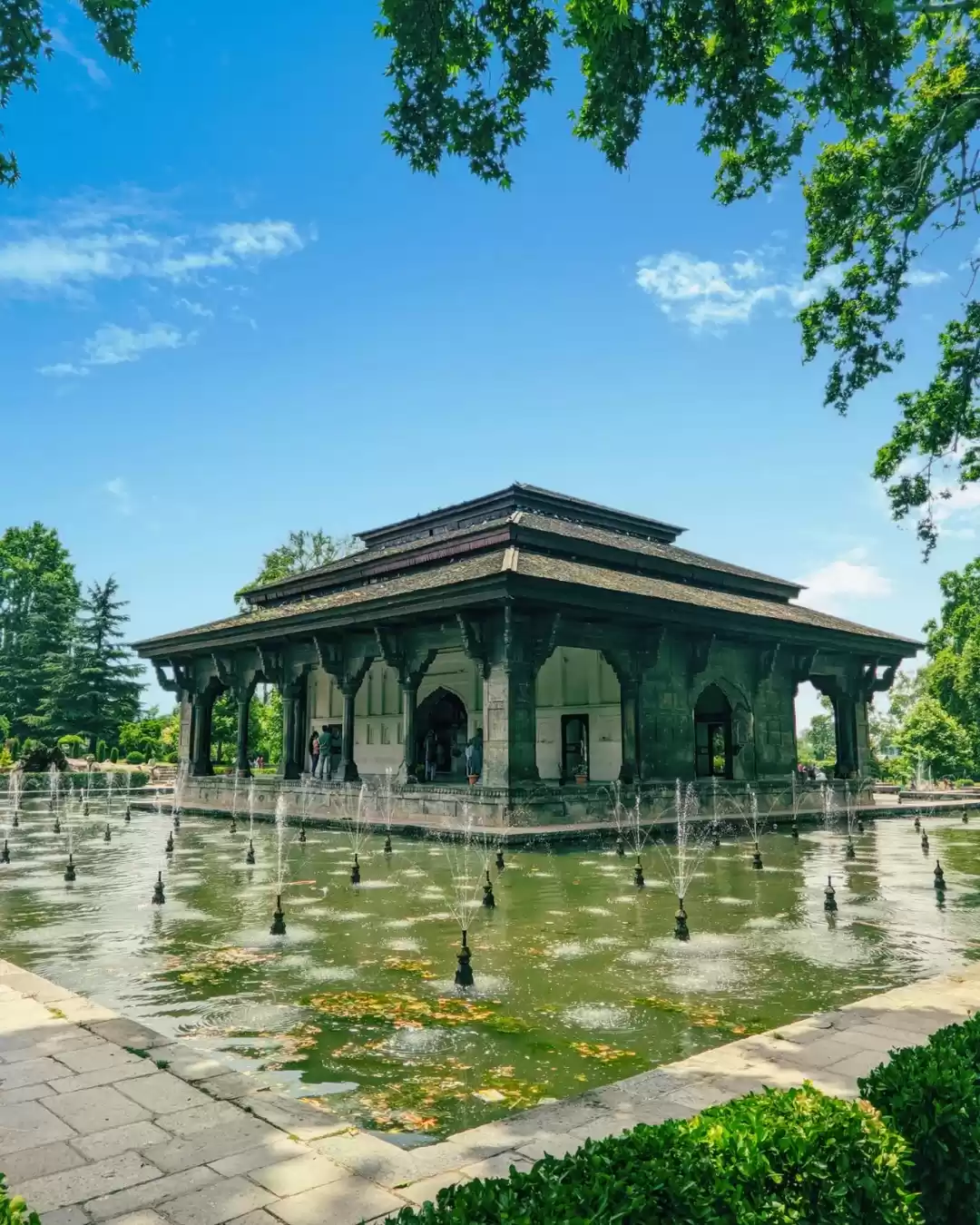 Photo of Morning in Shalimar