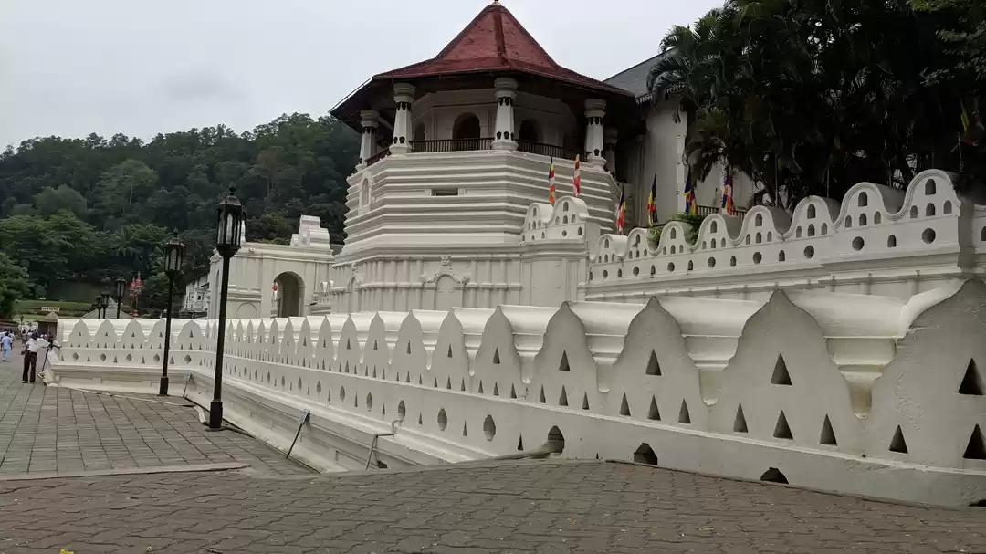 Photo of SriLanka- Safe As He