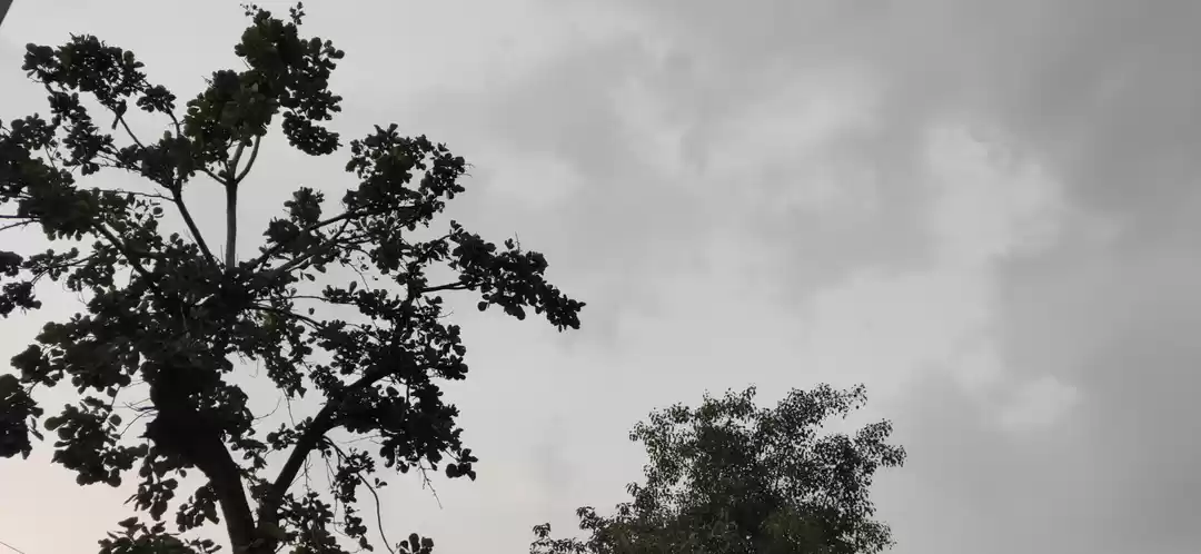 Photo of A Day in Kangra Vall