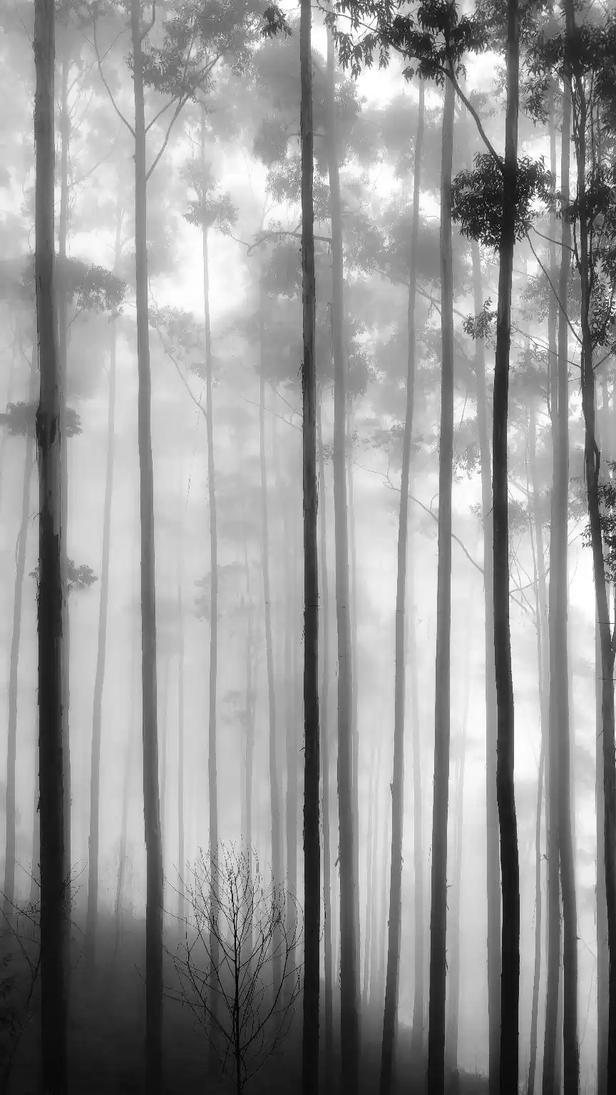 Photo of My Solo trip to Koda