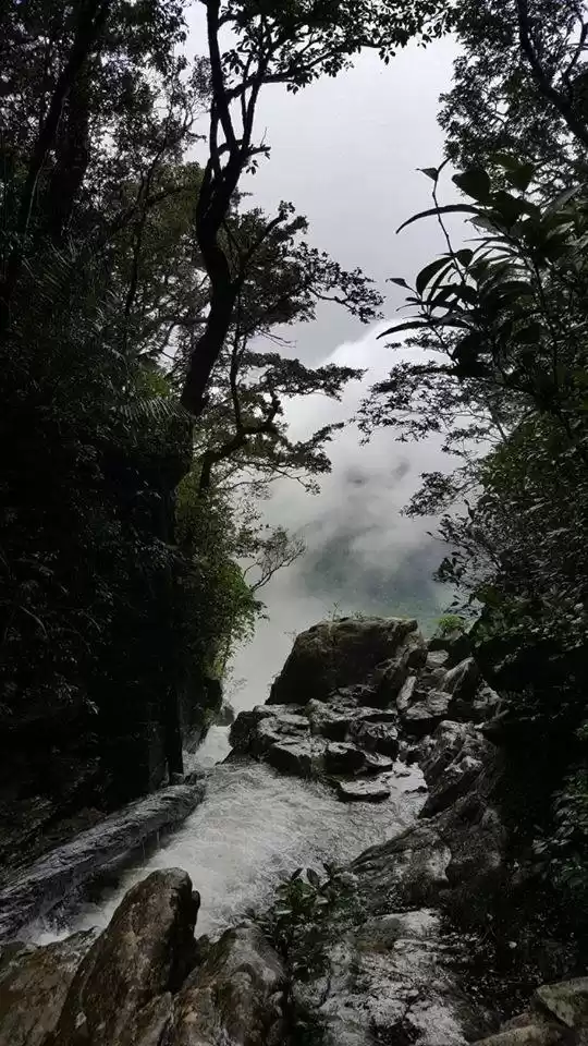 Photo of Amazing Agumbe