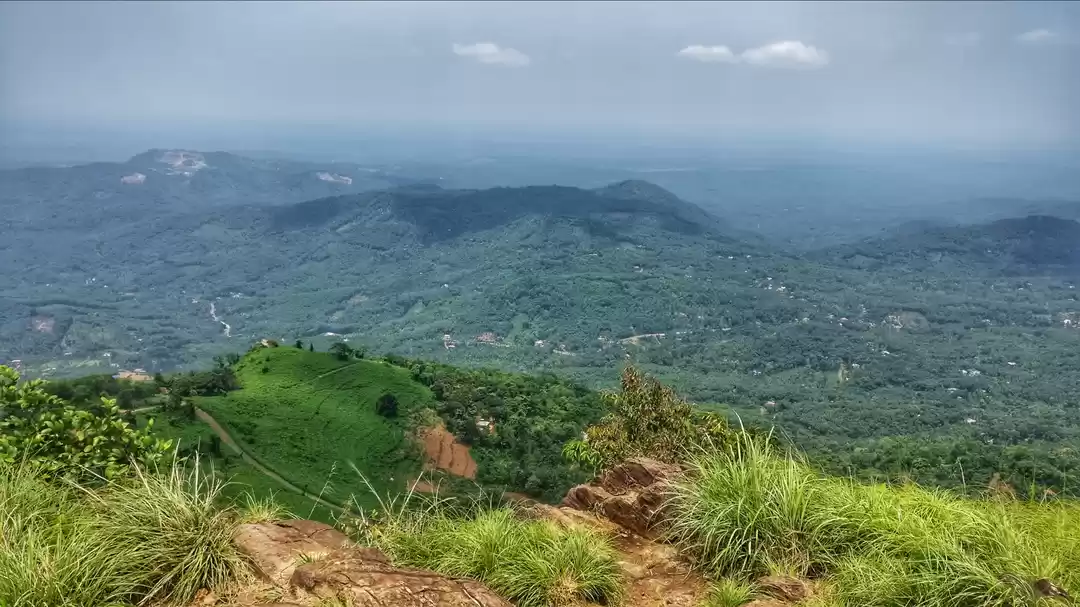 Photo of Palakkayam thattu #v