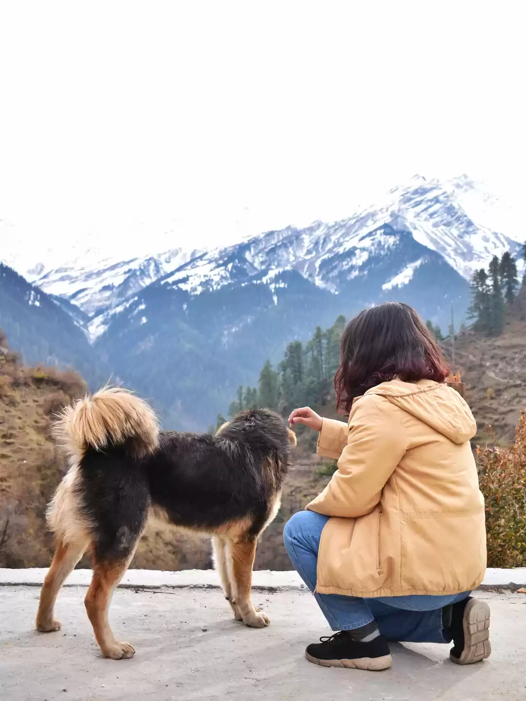 Photo of #BackToTheMountains