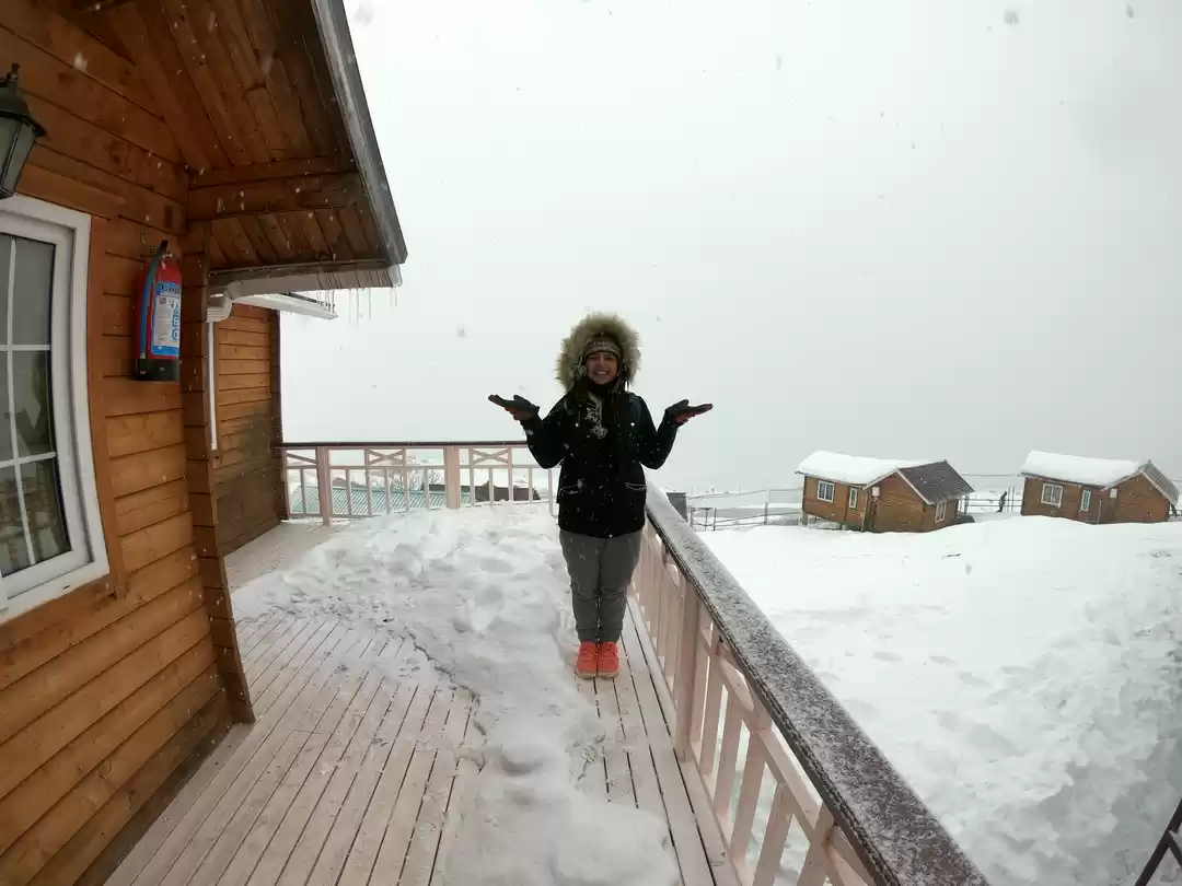 Photo of Auli - Winter wonder