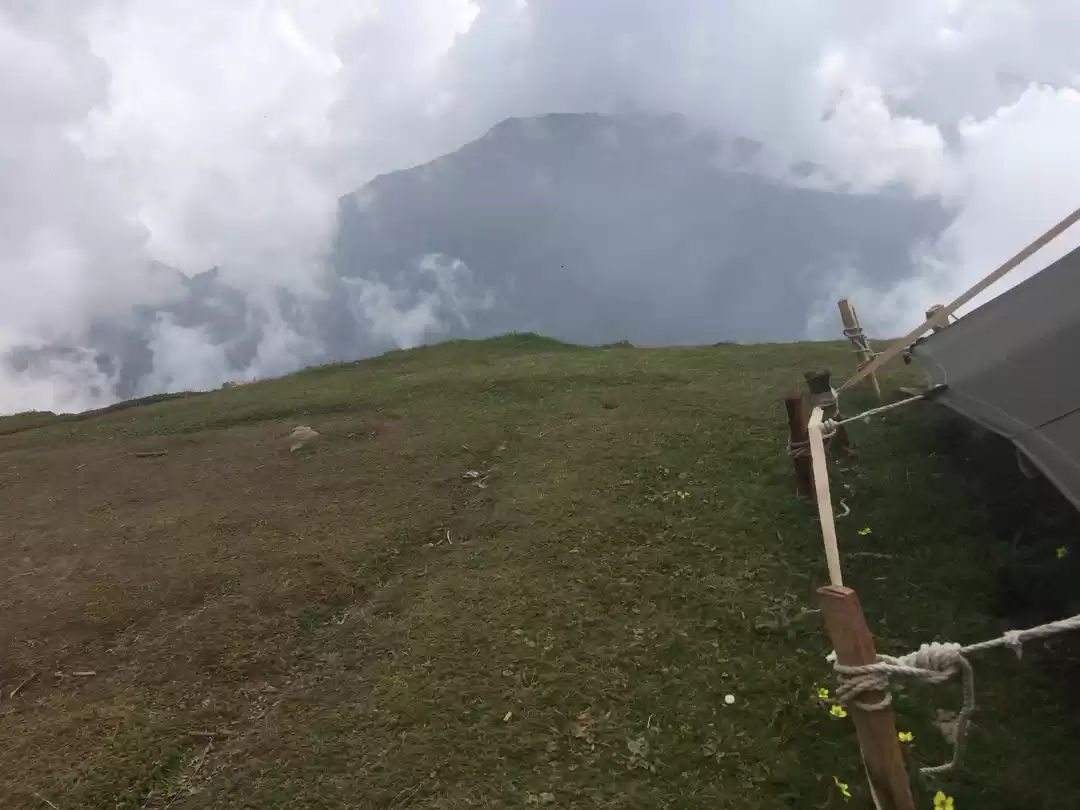 Photo of Coming Back To Life