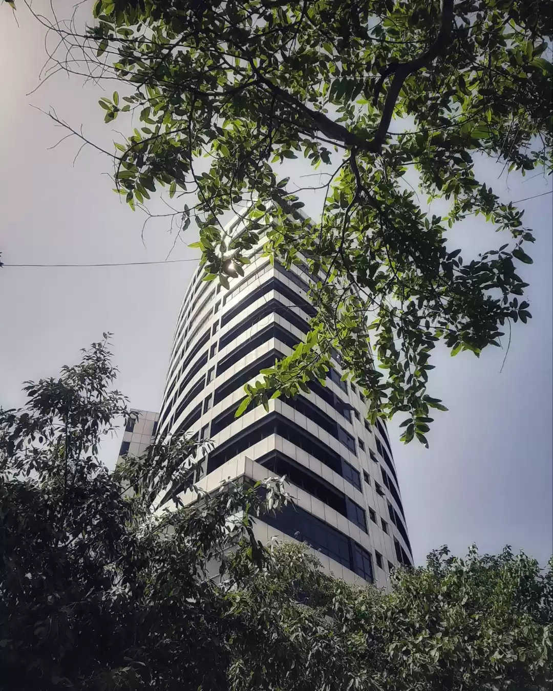Photo of Building