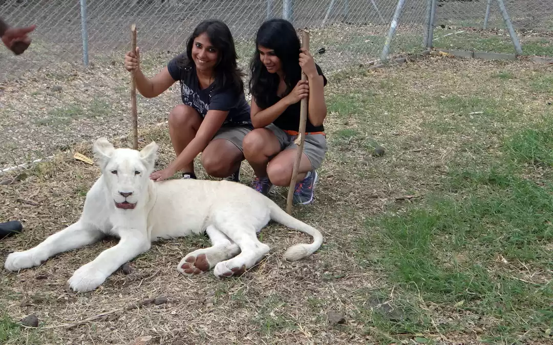 Photo of Mauritius – Beyond t