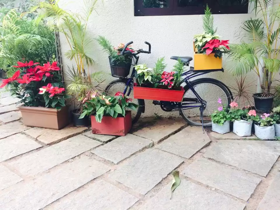 Photo of 9 Places To Eat In B