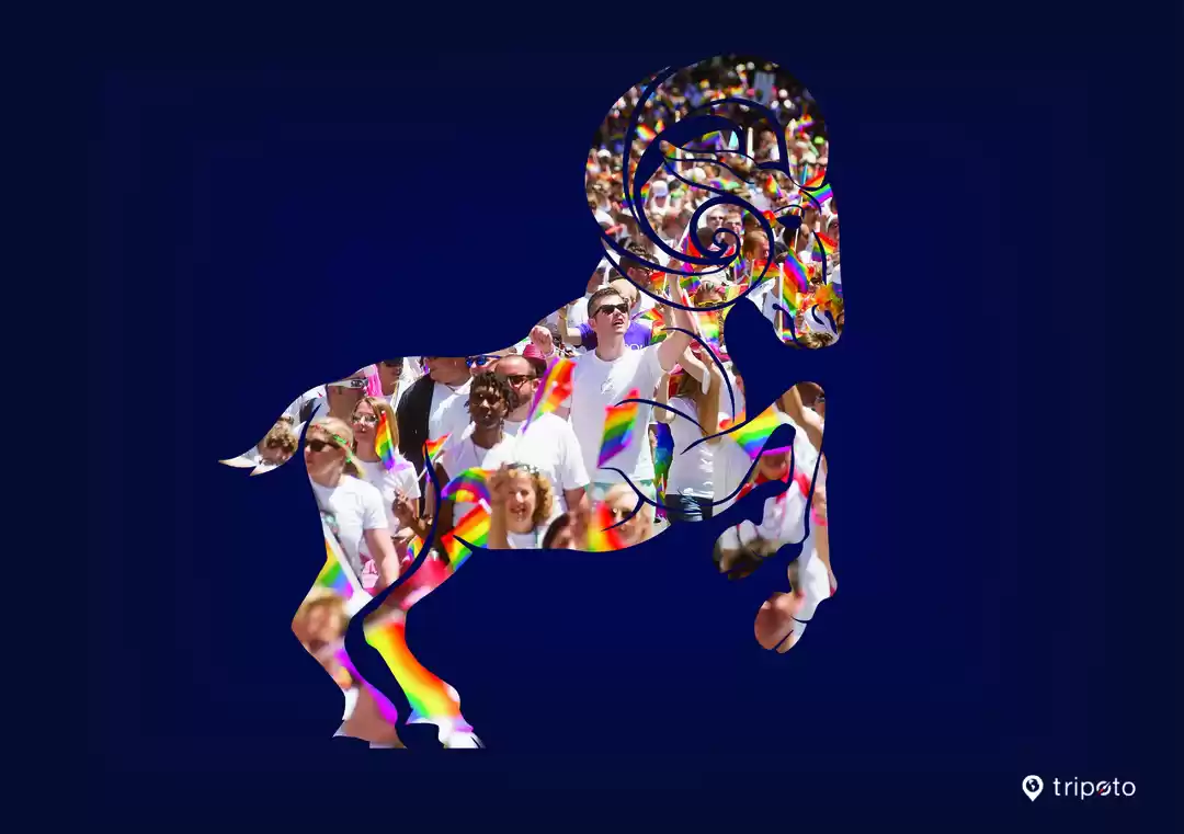 Photo of Which Country Should