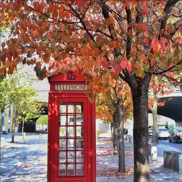 Photo of Autumn travel goals