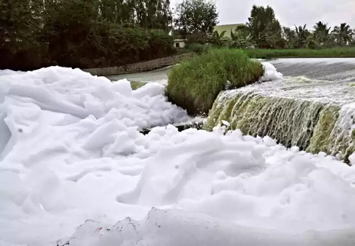 Photo of Bengaluru Lake is So