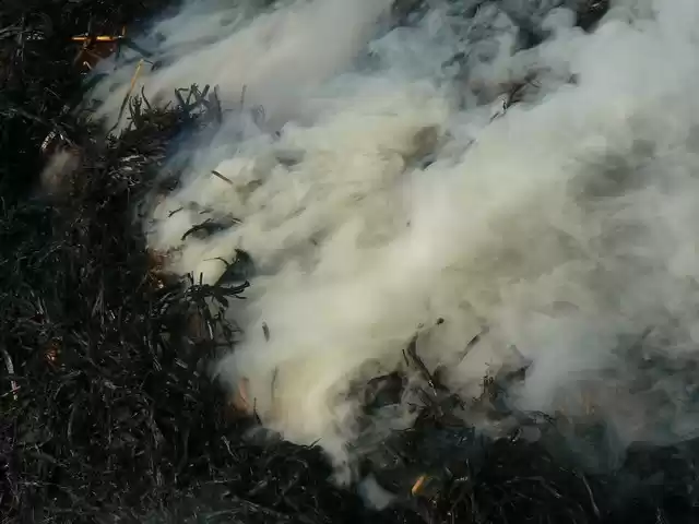 Photo of Amid Concerns of Lif