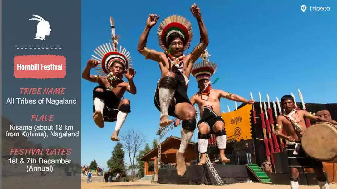 Photo of Looking for Differen