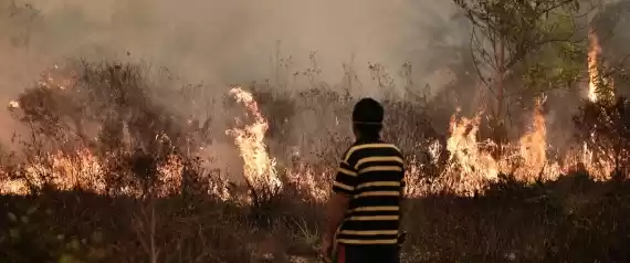 Photo of Why Indonesia Pissed