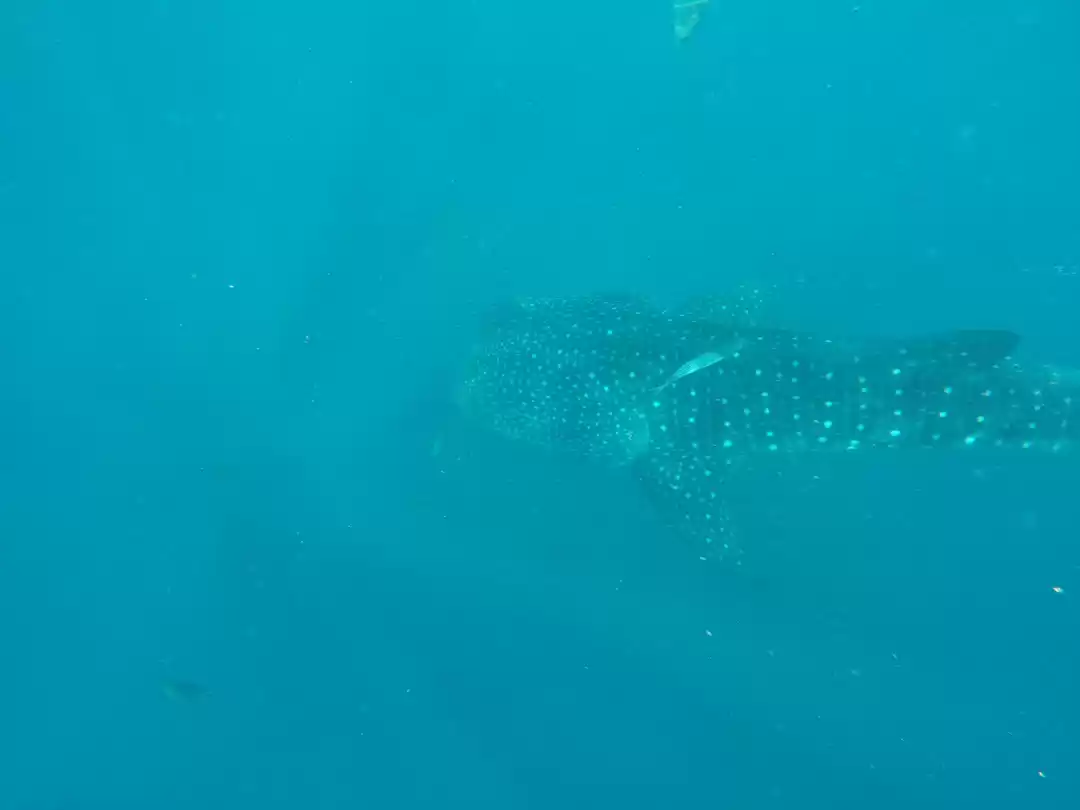 Photo of Land, sea and sky ad