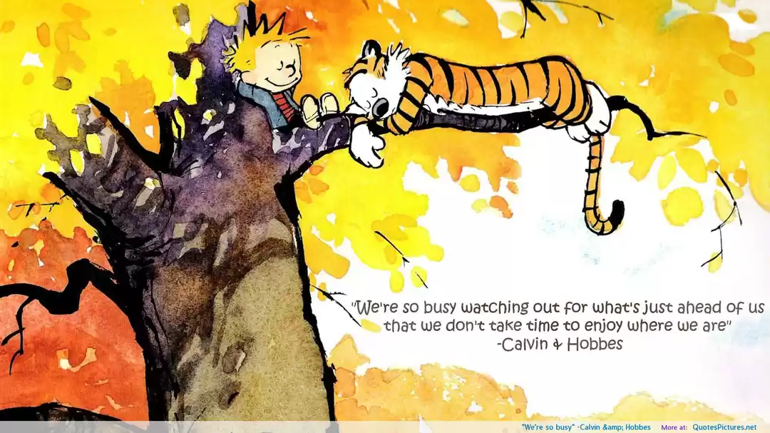 Photo of 11 Calvin & Hobbes C