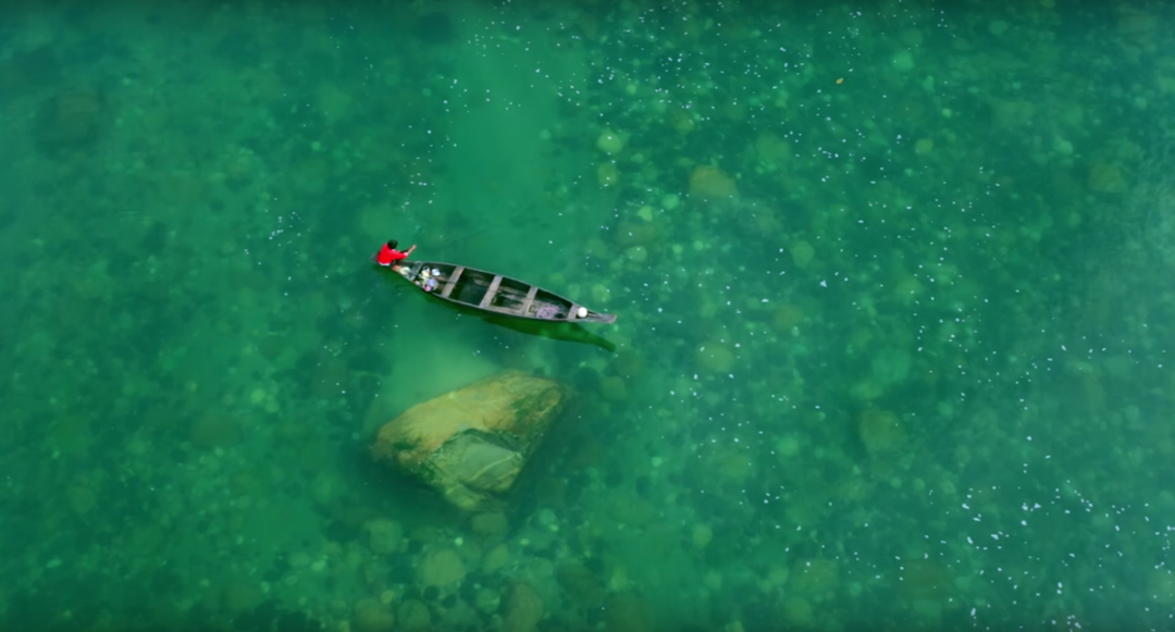 Photo of If This Video Doesn'