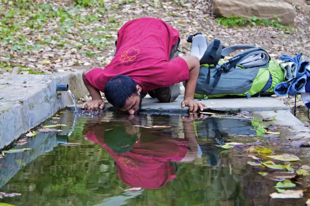 Photo of Nag Tibba Revisited