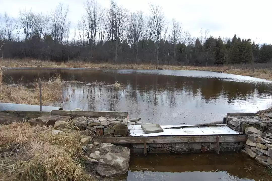 Photo of McLeod Diaries, 1st 