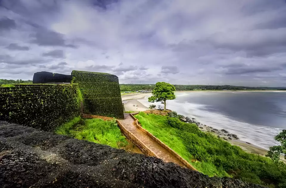 Photo of Know India's Evergre