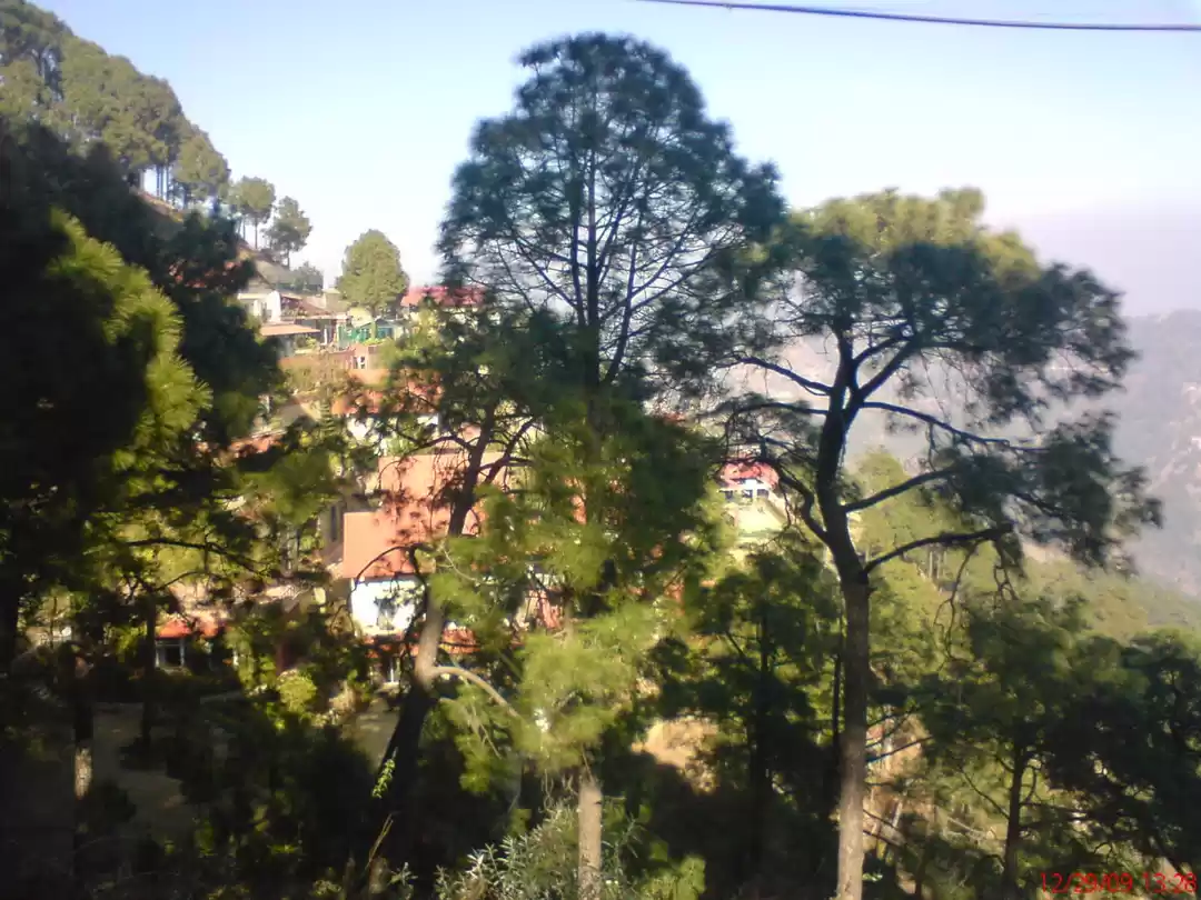 Photo of What makes Kasauli a