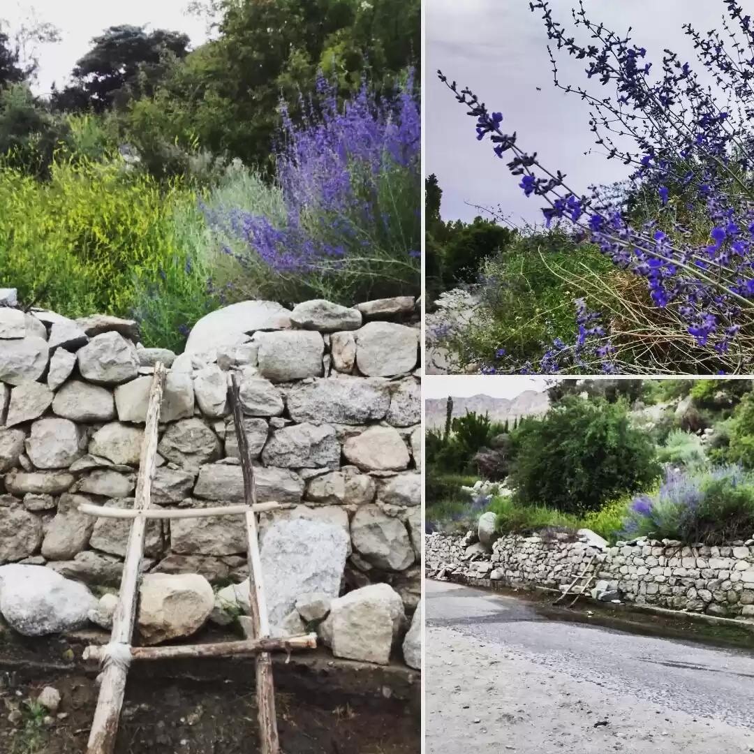 Photo of How to Heal Yourself