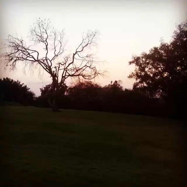 Photo of The Journeys of Smal