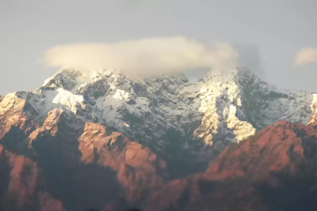 Photo of Want to travel? Here