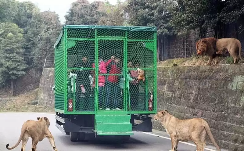 Photo of Humans Are Caged At