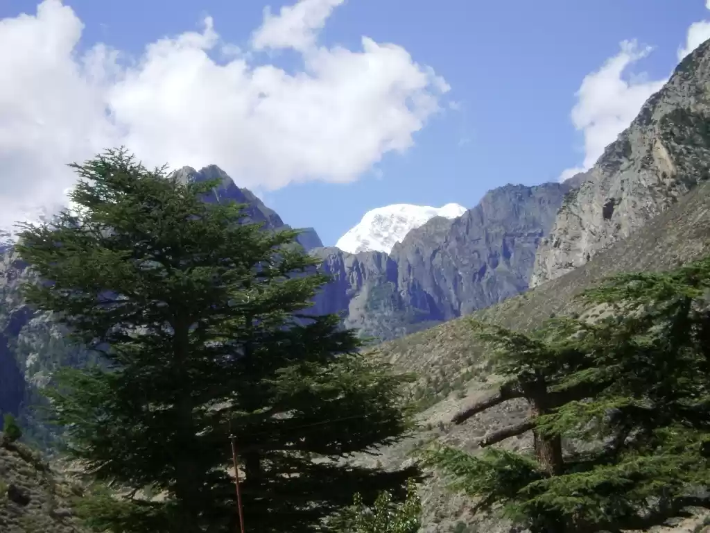 Photo of 20 feet from the wil