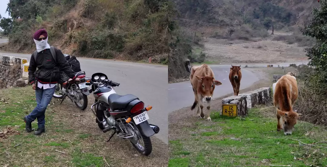 Photo of Feet in bags and sho