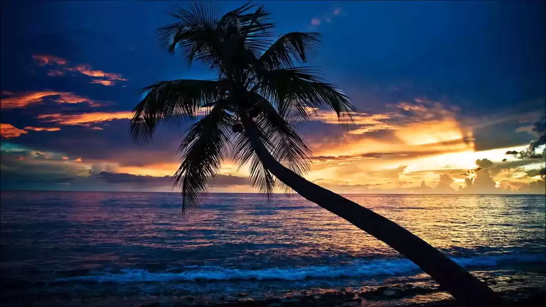 Photo of 10 Destinations Perf