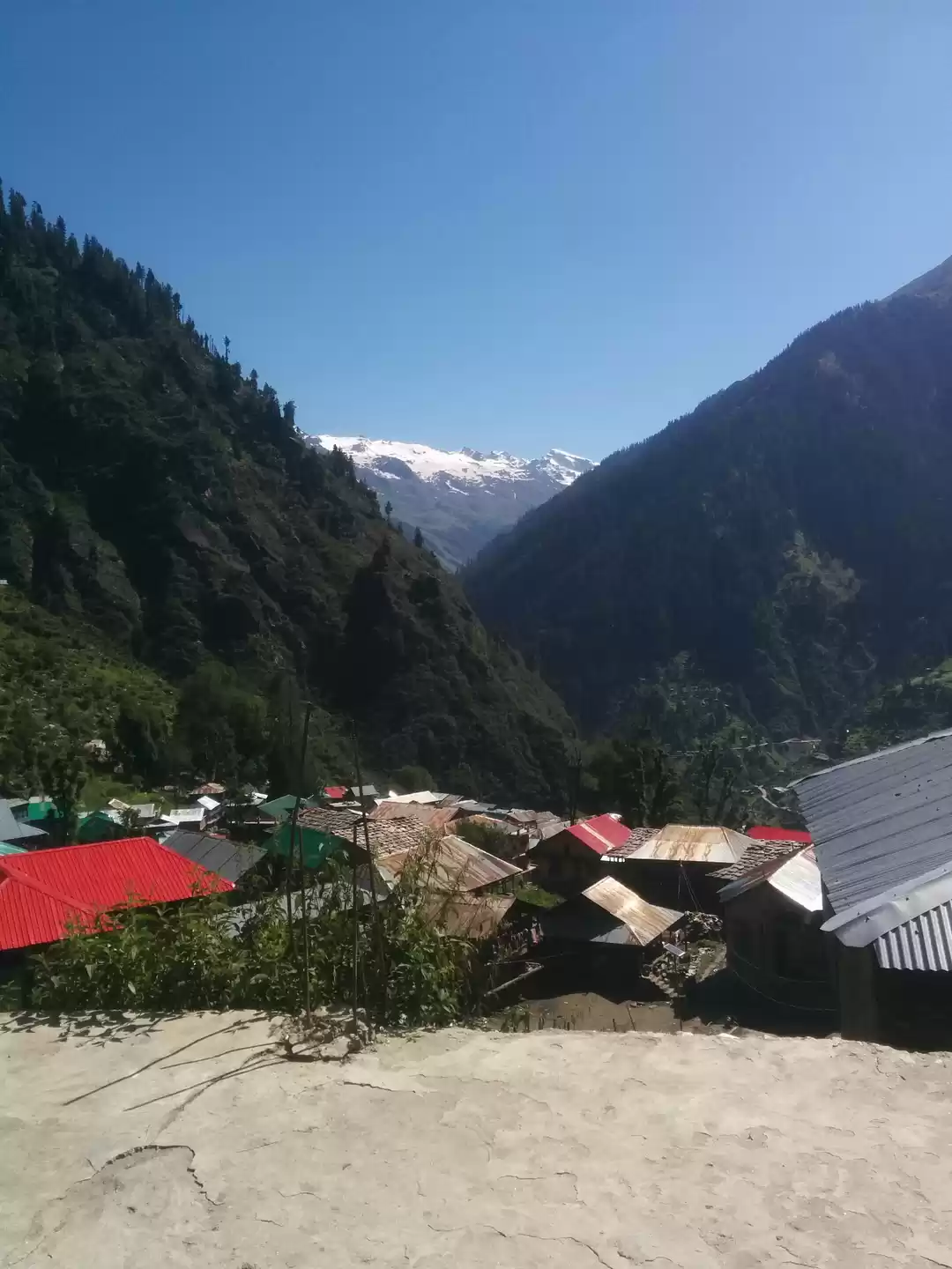 Photo of Reasons Why I Urge Y