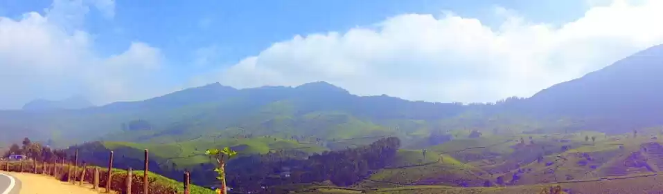 Photo of Munnar- Heaven in Di