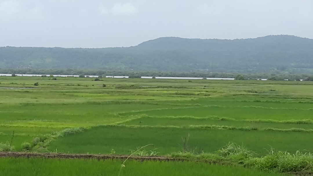 Photo of Alibaug the palaces of beach.