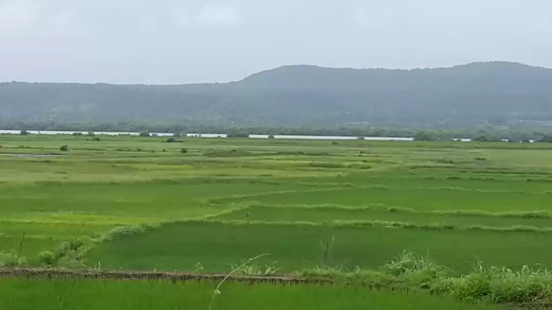 Photo of Alibaug the palaces 