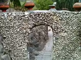 Photo of Of Mirrors and Magic