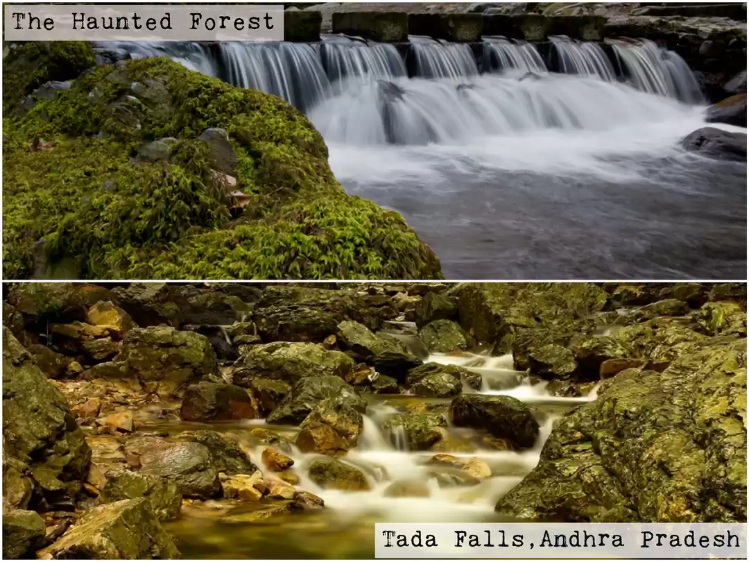 Photo of 8 Places In India Th