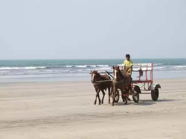 Photo of 5 offbeat must-see b