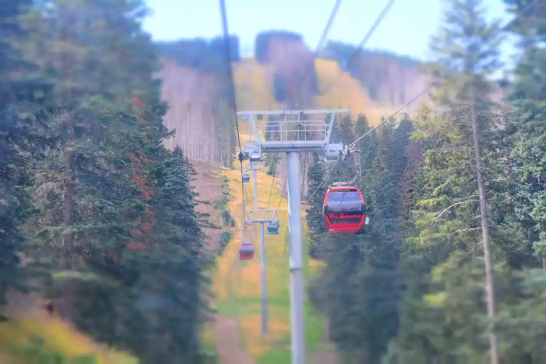 Photo of The White Horizon -