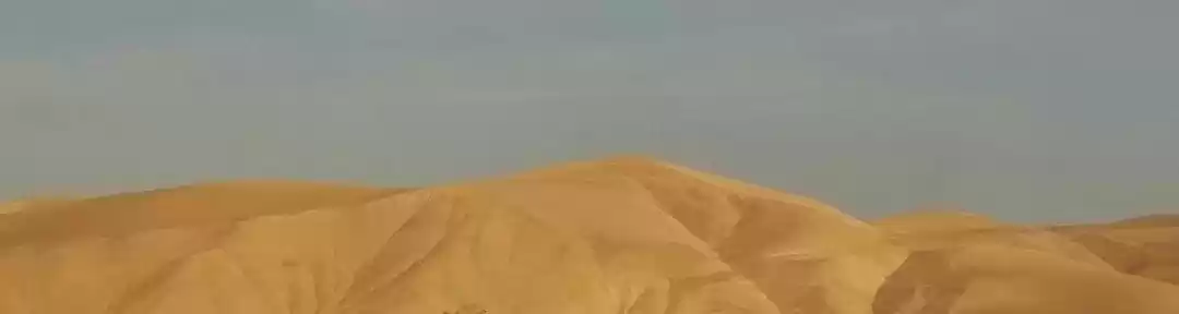 Photo of Tragedy in the Sahar