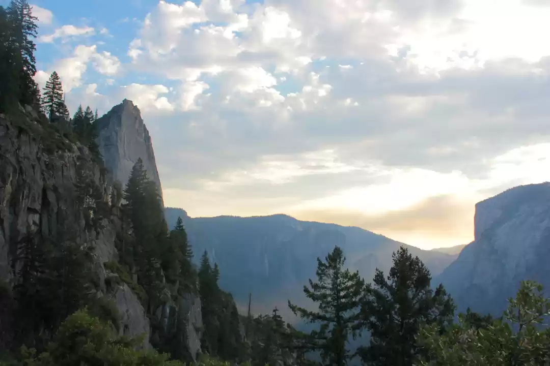 Photo of How I survived my fi